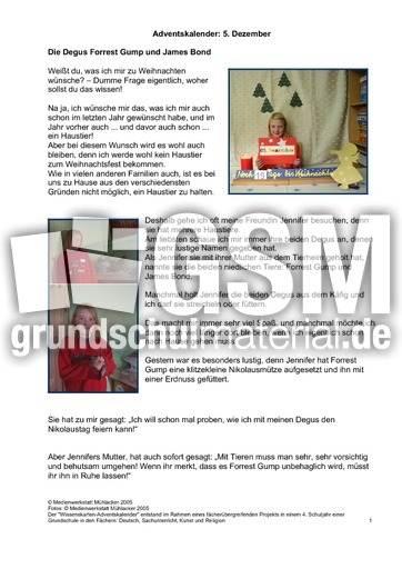 5.Dezember-Seite1.pdf